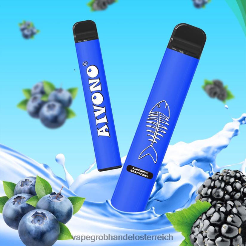 blaubeer-himbeere
