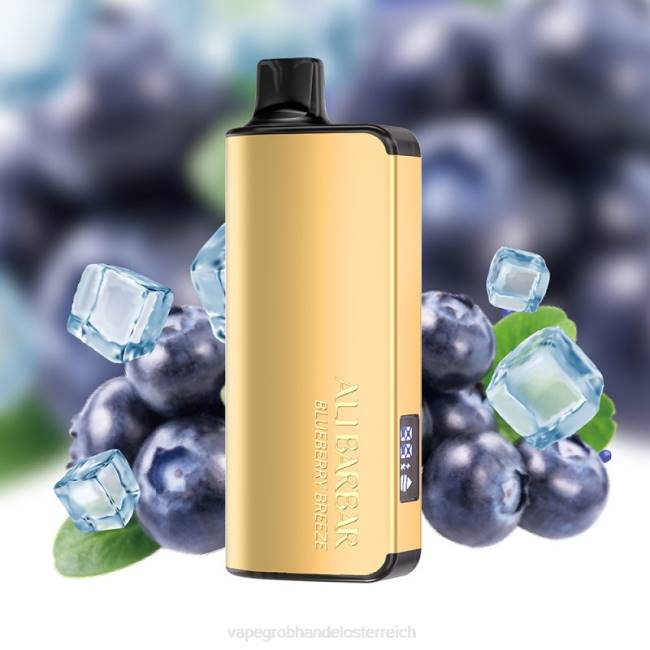 Vape Österreich Preis P4DL32 Alibarbar Ingot 20000 Einweg-Vapes Blaubeerbrise
