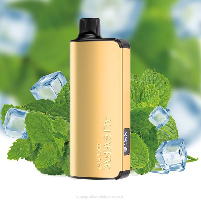 Vape Großhandel Preise P4DL18 Alibarbar Ingot 9000 Einweg-Vaporizer kühle Minze