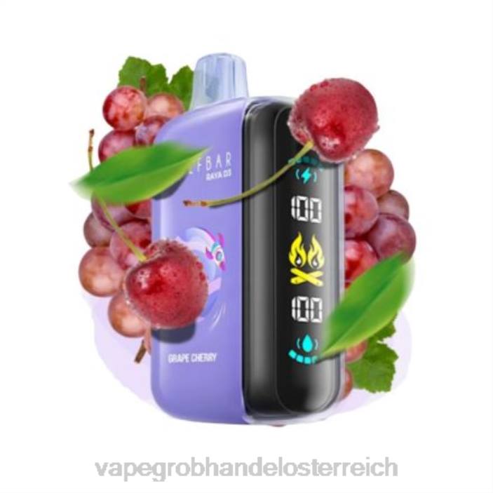 Elf Bar Raya D3 25000 - 24061 Einweg Vape Großhandel Österreich