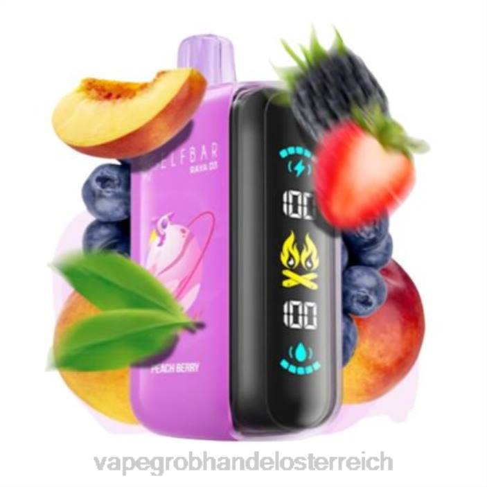 Elf Bar Raya D3 25000 - 24061 Einweg Vape Großhandel Österreich