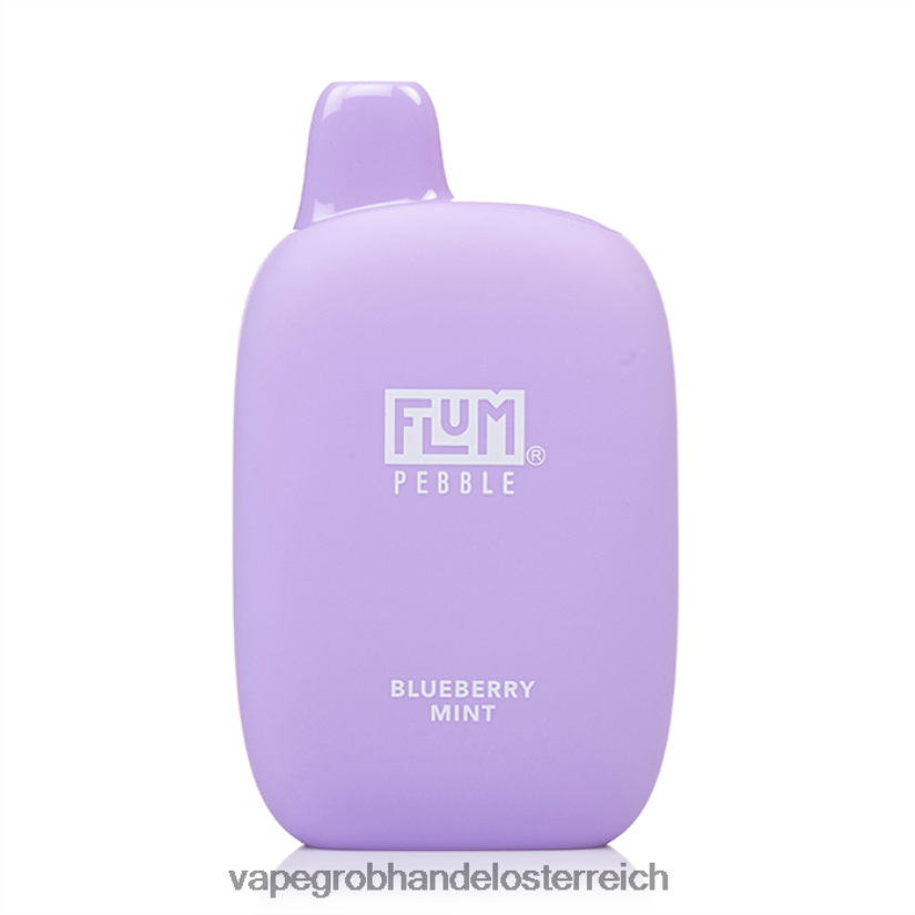 Blaubeerminze