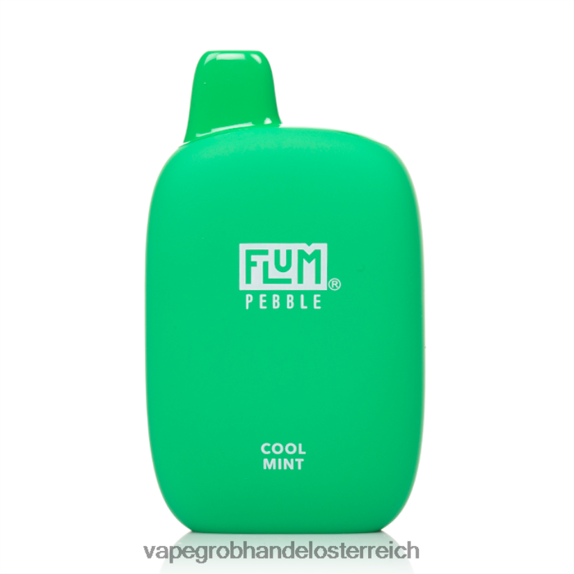 coole minze