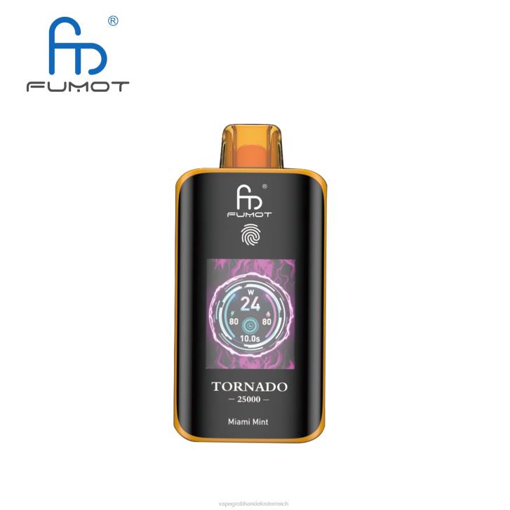 Vape Wholesale Supplier T4VH8 Miami-Minze - Fumot Tornado 25000 Einweg-Vaporizer