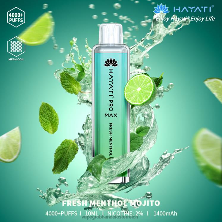 frischer Menthol-Mojito