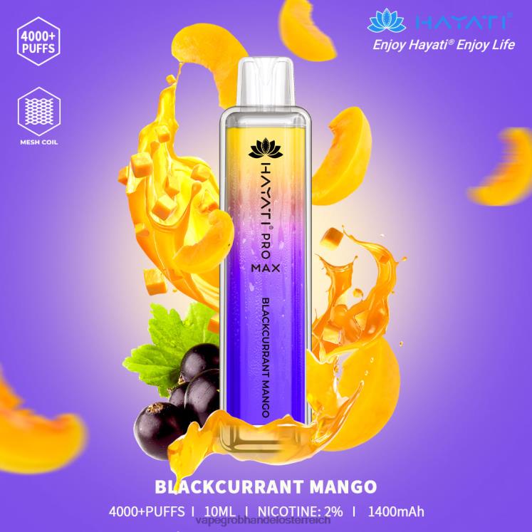 schwarze johannisbeer-mango