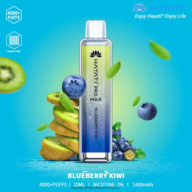 Vape Großhandel Preise Blaubeer-Kiwi 4FVXR152 Hayati Pro Max 4000