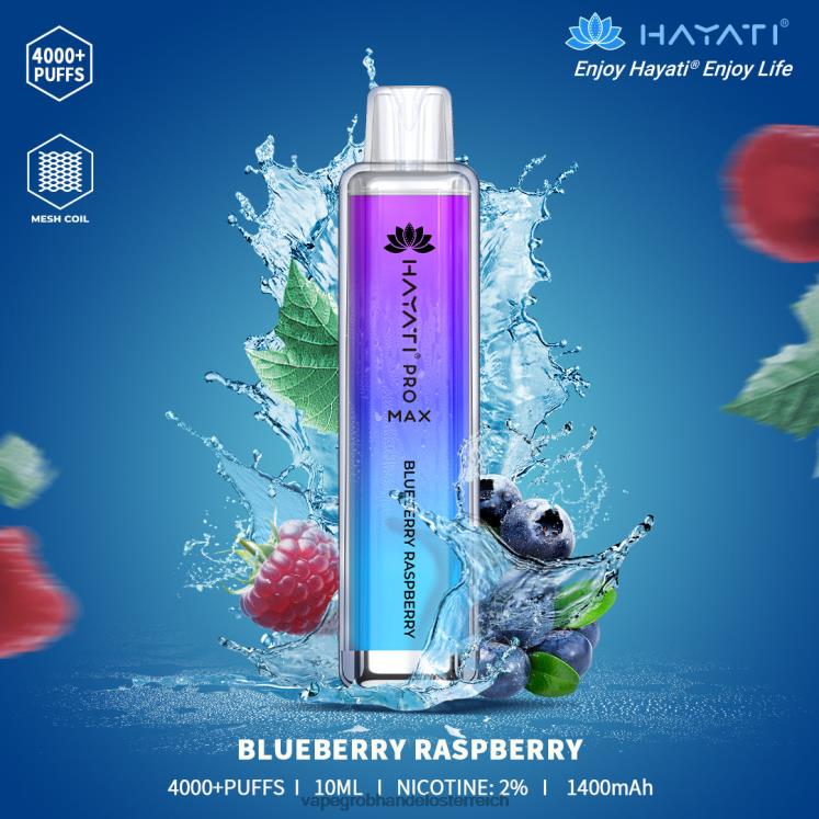 blaubeer-himbeere