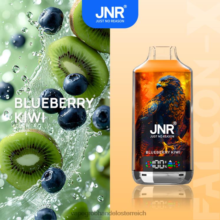 Blaubeer-Kiwi