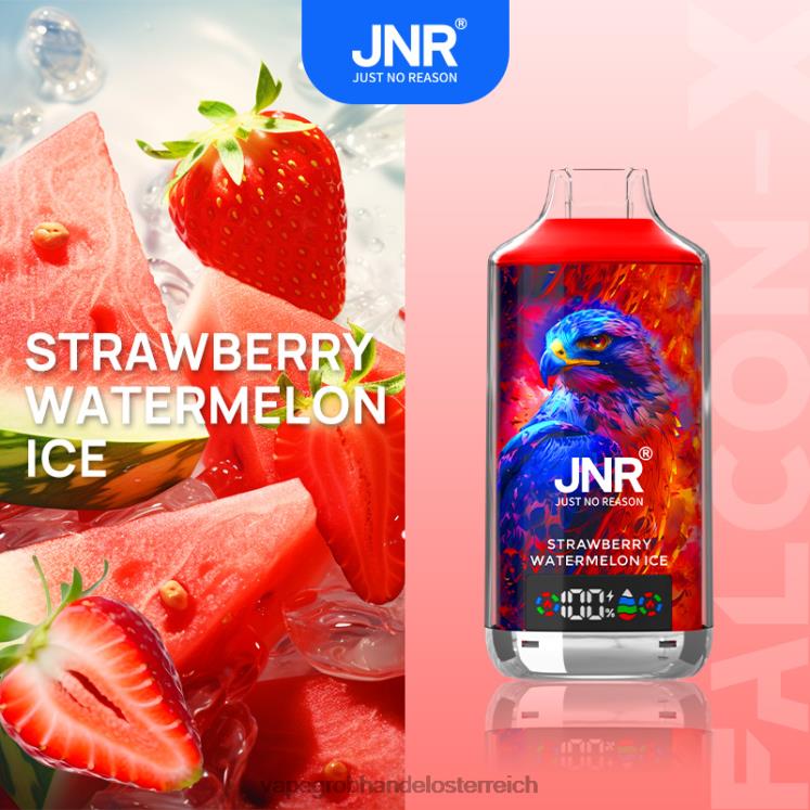erdbeer-wassermelonen-eis