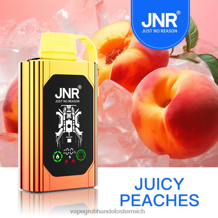 Vape Großhandel Preise saftige Pfirsiche 4FVXR622 JNR SHISHA BOX