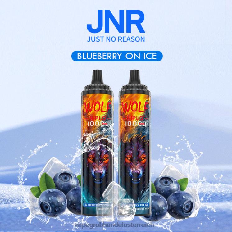 blaue Beere auf Eis