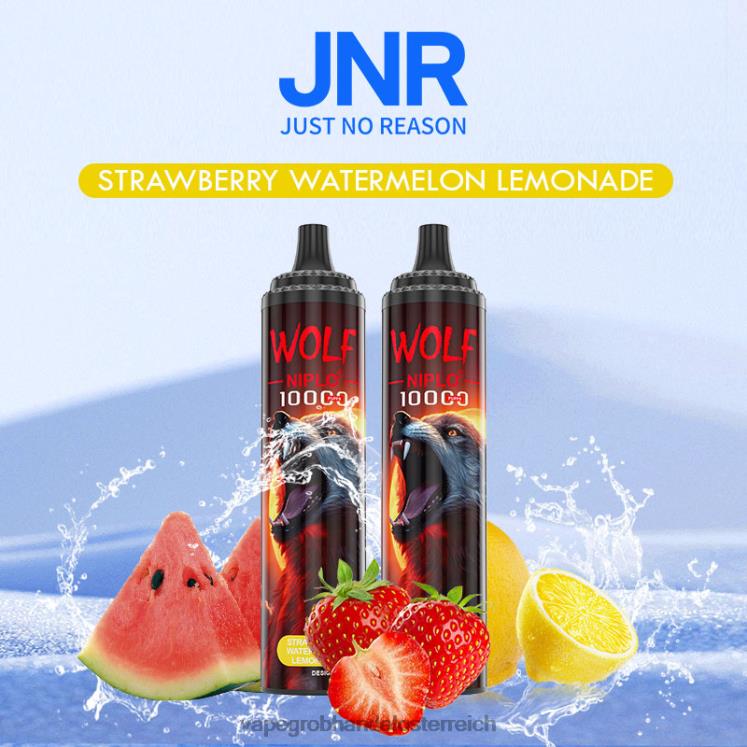 Erdbier-Wassermelonen-Limonade