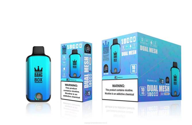 Bang Box 18000 Züge NT2890 - Vape Österreich Preis Blaubeereis