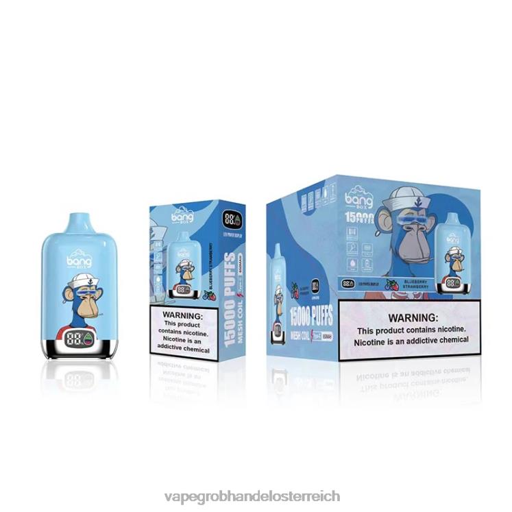 Vape Großhandel Preise Blaubeere Erdbeere 4FVXR132 Bang Box 15000