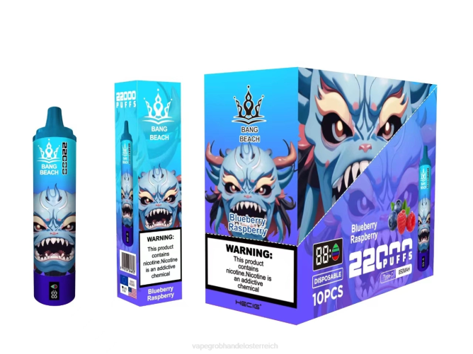 Bang Beach 22000 Züge intelligenter Bildschirm NT2814 - Vape Großhandel Preise Blaubeer-Himbeere