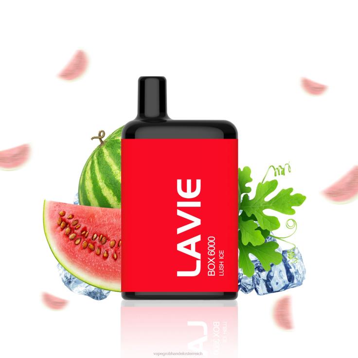 LAVIE BOX 6000 Züge 4T4XL199 | Einweg Vape Österreich üppiges Eis