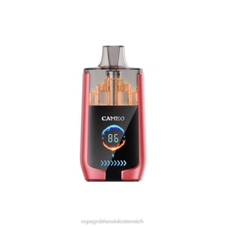 LAVIE CAMEO 30000 Züge 4T4XL14 | Vape Großhändler Wassermeloneneis