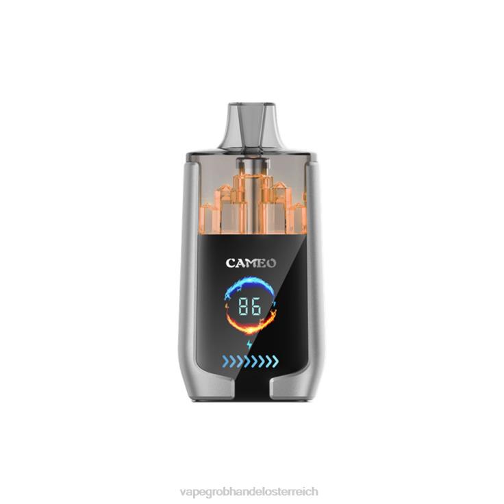 LAVIE CAMEO 30000 Züge 4T4XL15 | Einweg Vape Österreich Blaubeereis