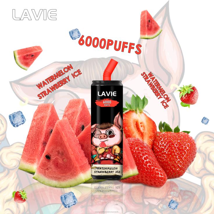 wassermelonen-erdbier-eis