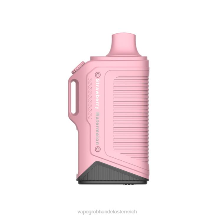 LAVIE Energy Box 15000 Züge 4T4XL71 | Einweg Vape Österreich Erdbeerwassermelone