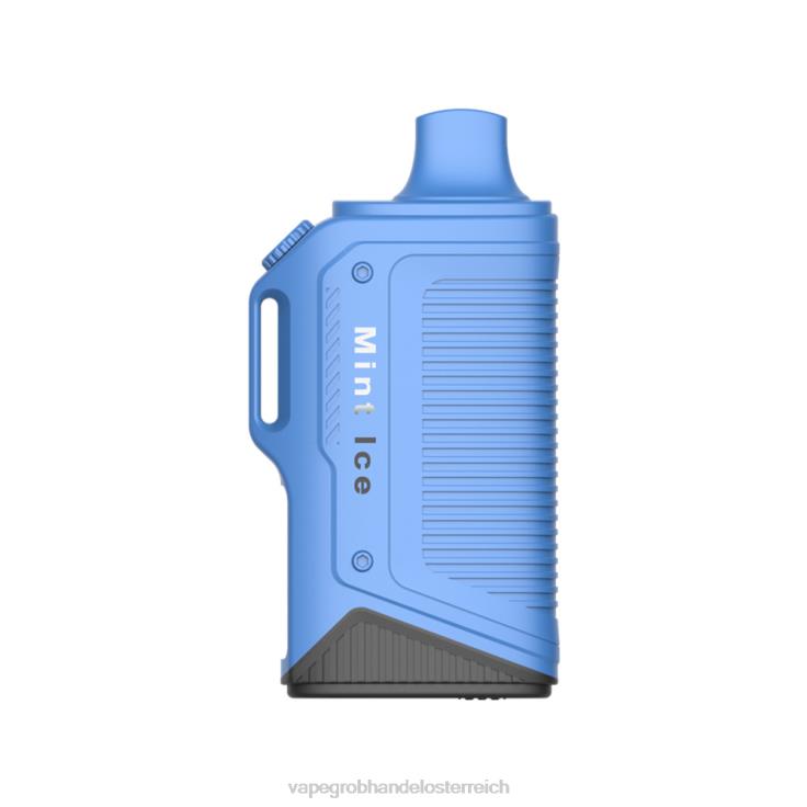 LAVIE Energy Box 15000 Züge 4T4XL72 | Vape Österreich Preis Minz-Eis