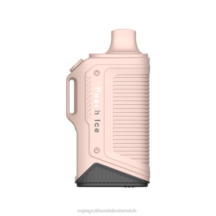 LAVIE Energy Box 15000 Züge 4T4XL79 | Einweg Vape Österreich Pfirsicheis