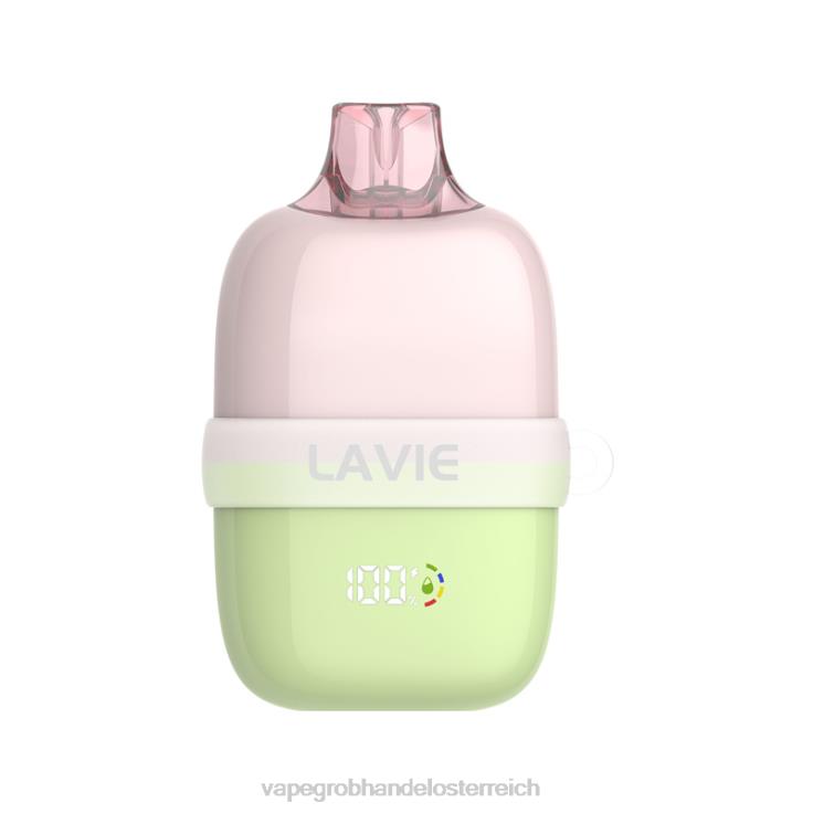 LAVIE INSIDER 12000 Züge 4T4XL87 | Einweg Vape Österreich grünes Traubeneis