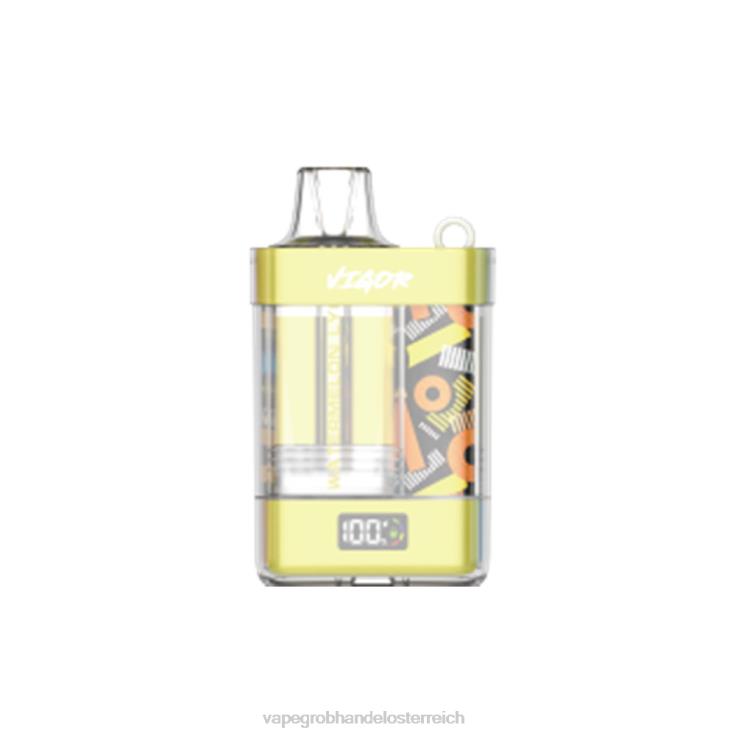 LAVIE VIGOR 15000 Züge 4T4XL11 | Vape Kaufen Linz Wassermelonen-Litschi