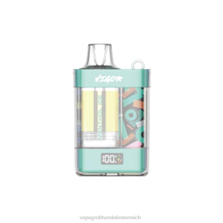 LAVIE VIGOR 15000 Züge 4T4XL2 | Vape Großhandel Preise Menthol-Eis