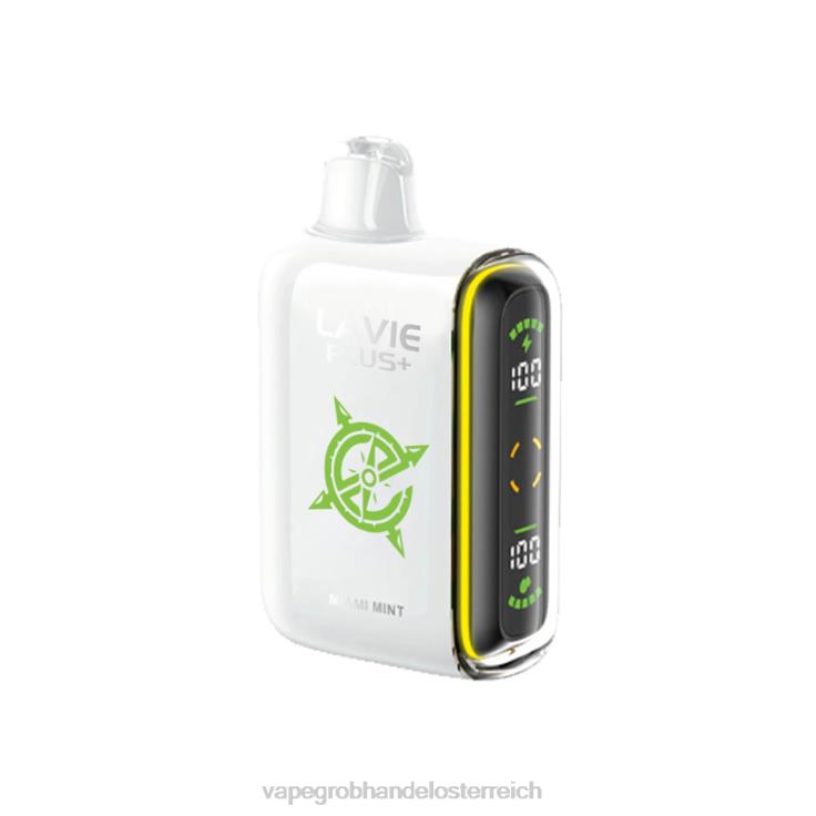 LAVIE PLUS 15000 Züge 4T4XL98 | Vape Großhandel Preise Miami-Minze