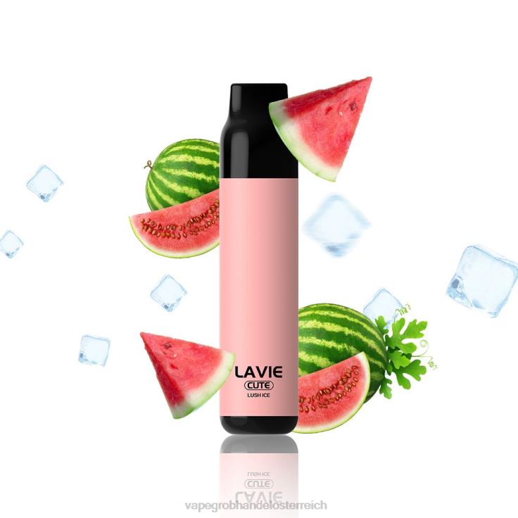 LAVIE BAR 3000 Züge 4T4XL285 | Vape Wien üppiges Eis