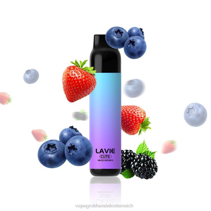 LAVIE BAR 3000 Züge 4T4XL289 | Vape Großhandel Österreich gemischte Beeren