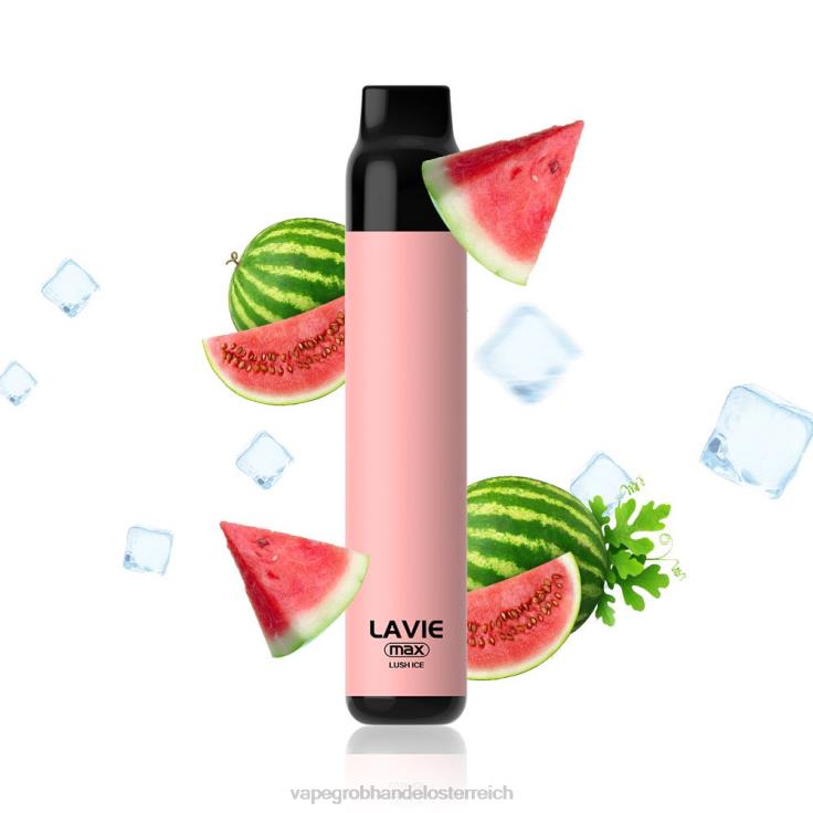 LAVIE BAR 5000 Züge – max 4T4XL277 | Vape Wien üppiges Eis