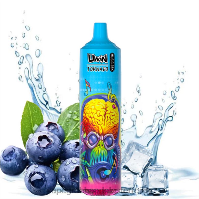 blaue Beere auf Eis