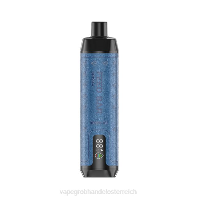 Einweg Vape Österreich P4DL95 Vapsolo SHISHA Einweg-Vapor Beereneis