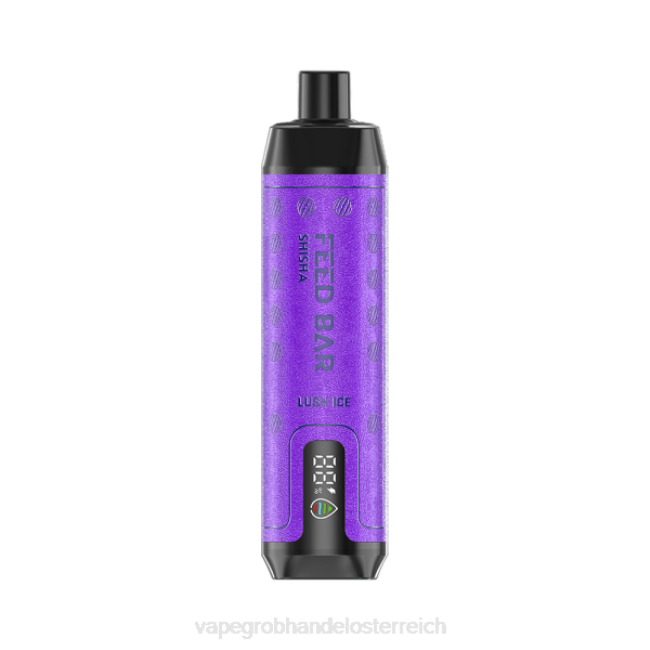 Vape Großhändler P4DL102 Vapsolo SHISHA Einweg-Vapor üppiges Eis
