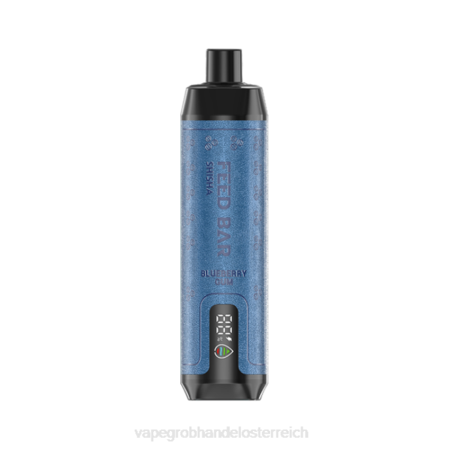 Vape Großhandel Preise P4DL98 Vapsolo SHISHA Einweg-Vapor Blaubeergummi