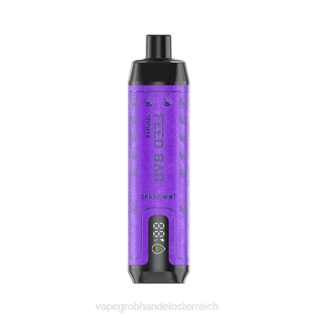 Vape Kaufen Graz P4DL100 Vapsolo SHISHA Einweg-Vapor Traubenminze