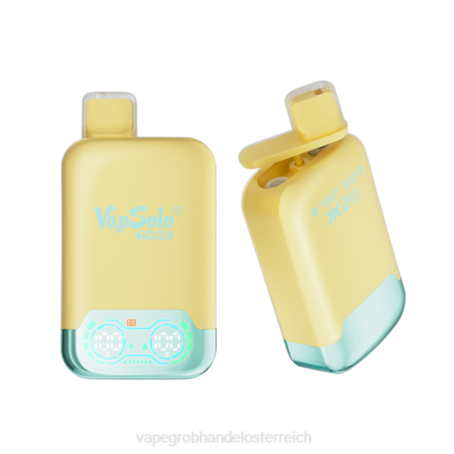 Vape Wien P4DL125 Vapsolo TWINS Einweg-Vapor Ananas-Kokosnuss und Erdbeer-Banane