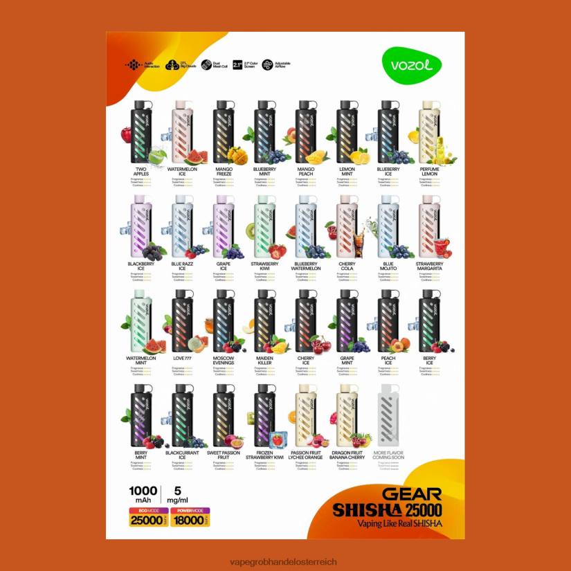 multi VOZOL Getriebe Shisha 25000 4BDN6P1 Vape Großhandel Österreich