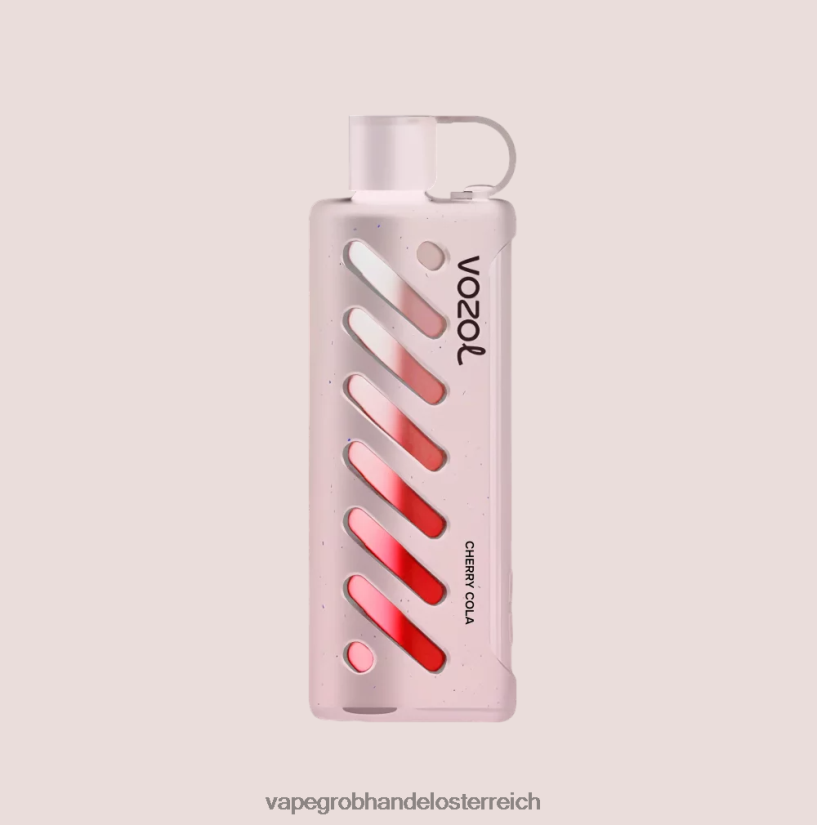multi VOZOL Getriebe Shisha 25000 4BDN6P1 Vape Großhandel Österreich