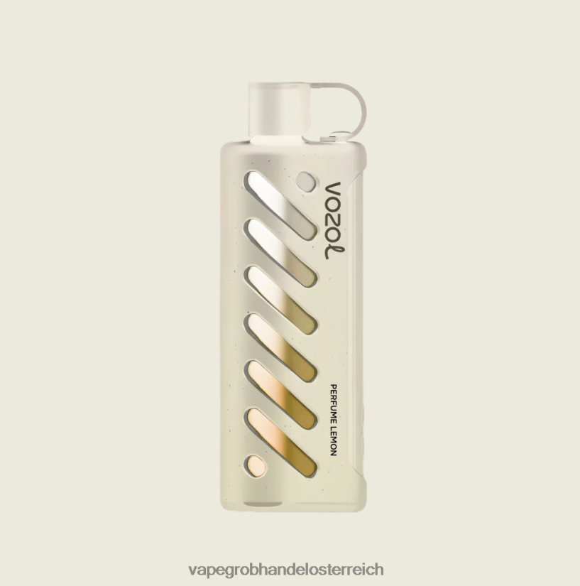 multi VOZOL Getriebe Shisha 25000 4BDN6P1 Vape Großhandel Österreich