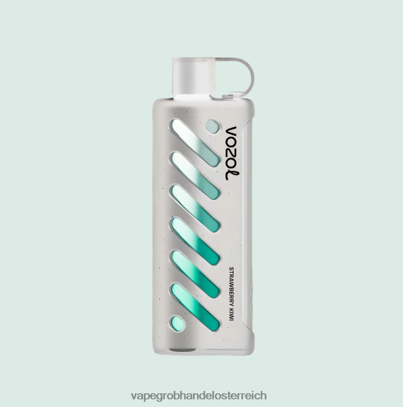 multi VOZOL Getriebe Shisha 25000 4BDN6P1 Vape Großhandel Österreich