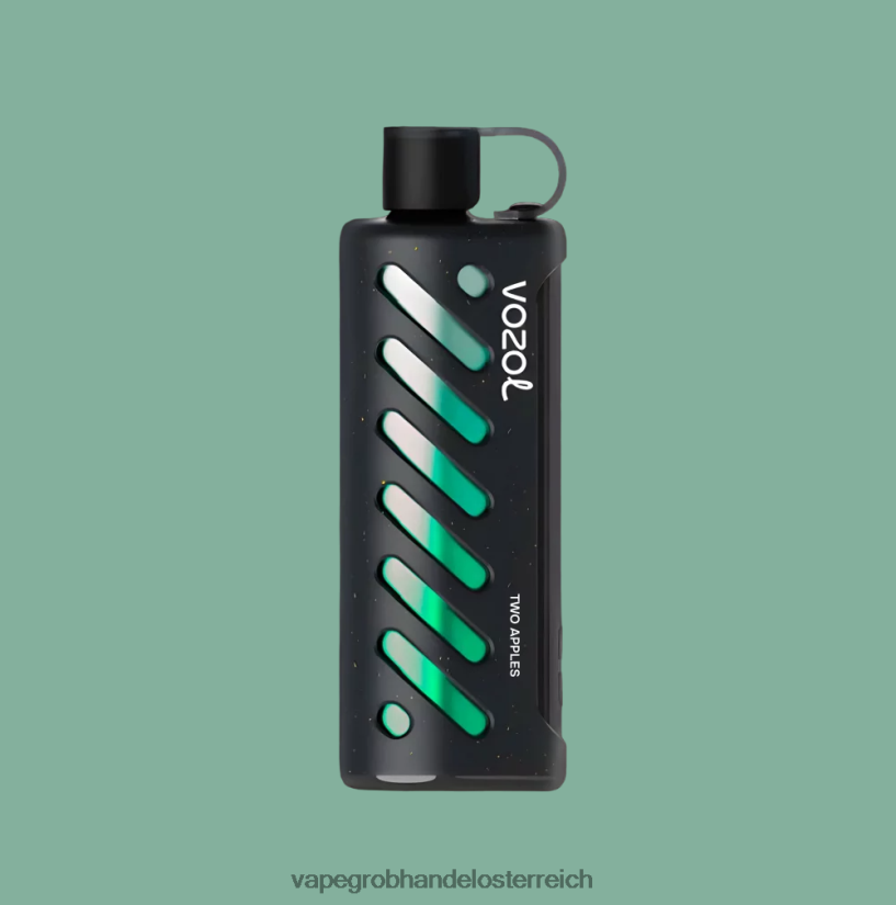 multi VOZOL Getriebe Shisha 25000 4BDN6P1 Vape Großhandel Österreich