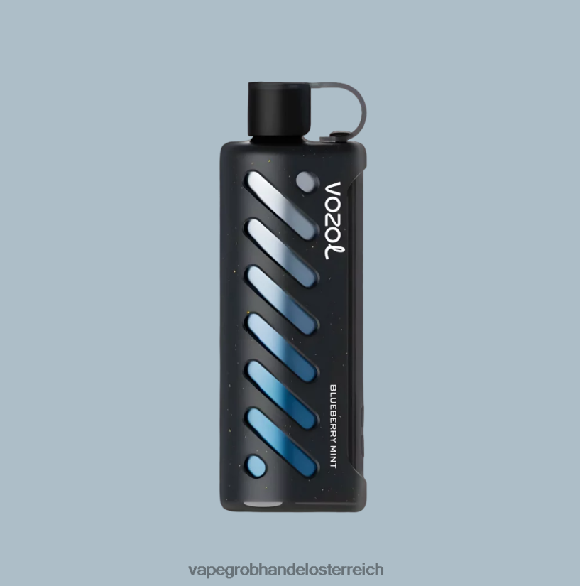 multi VOZOL Getriebe Shisha 25000 4BDN6P1 Vape Großhandel Österreich