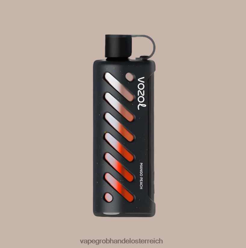 multi VOZOL Getriebe Shisha 25000 4BDN6P1 Vape Großhandel Österreich