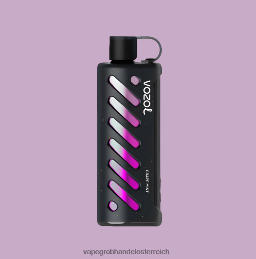 multi VOZOL Getriebe Shisha 25000 4BDN6P1 Vape Großhandel Österreich