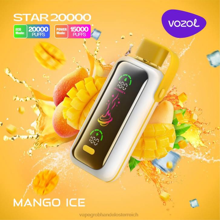 Vape Großhändler Mango-Eis 24LZ13 VOZOL STAR 20000