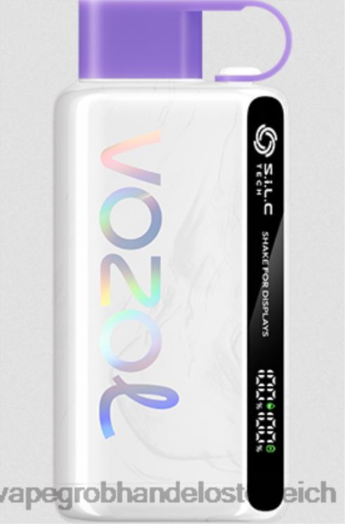 Vape Kaufen Linz Traubeneis 4FVXR13 VOZOL STAR 9000/12000 5 %